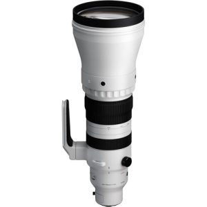 Sigma Sigma 300-600mm f/4.0 DG OS Sports L-Mount