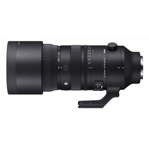 Sigma Sigma 70-200mm f/2.8 DG DN OS Sony FE mount