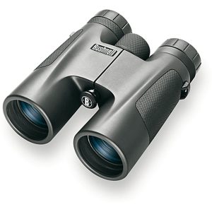 Bushnell Bushnell Powerview 10x42 black, roof
