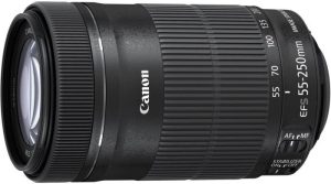 Canon Canon EF-S 55-250mm/F4-5.6 IS STM