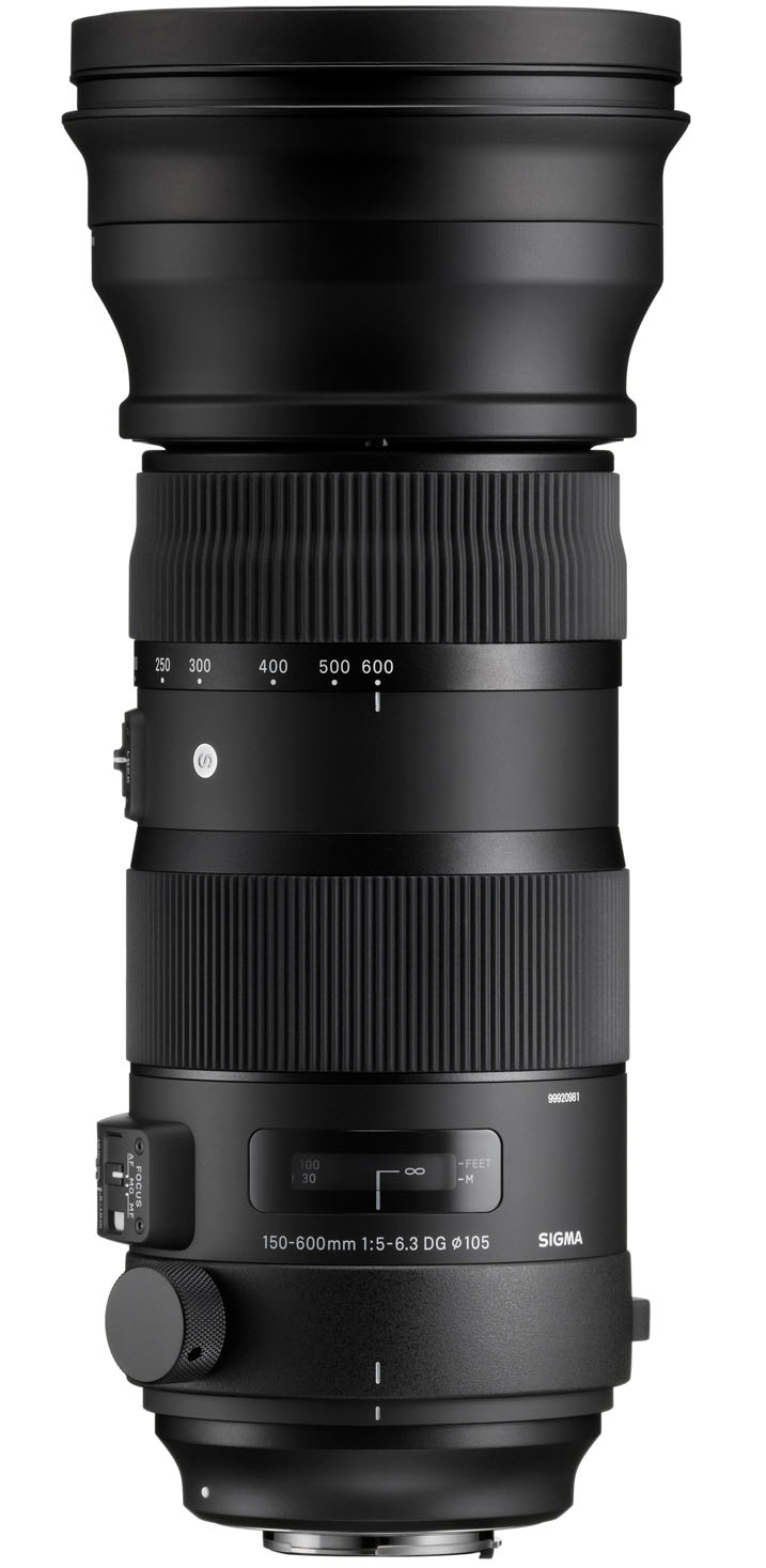 Sigma Sigma 150-600mm F5-6.3 DG OS HSM Sports Canon EF - Image 3