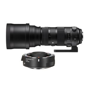 Sigma Sigma 150-600mm Sports / TC-1401 (kit) CANON