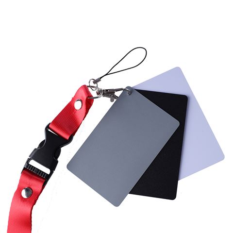 StudioKing StudioKing Grijskaart SKGC-31S - Image 2