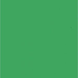 Falcon Eyes Falcon Eyes Achtergrondpapier 46 Chroma Green 2,75 x 11 m
