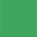 Falcon Eyes Falcon Eyes Achtergrondpapier 46 Chroma Green 2,75 x 11 m