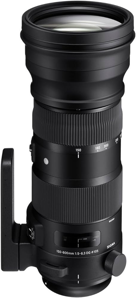 Sigma Sigma 150-600mm F5-6.3 DG OS HSM Sports Canon EF - Image 2