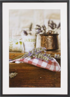 Henzo Henzo Jardin 60x90 zwart