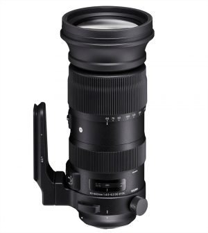 Sigma Sigma 60-600mm F4.5-6.3 DG OS HSM (S) Nikon F mount