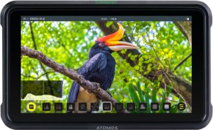 Atomos Atomos Shinobi 13,2 cm (5.2) Zwart 1920 x 1080 Pixels"