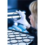 B+W B+W Verloopring 3 62-58