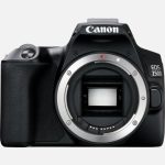 Canon Canon EOS 250D Black Body