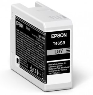 Epson Epson Singlepack Light Gray T46S9