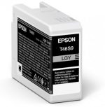 Epson Epson Singlepack Light Gray T46S9