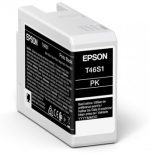 Epson Epson Singlepack Photo Black T46S1