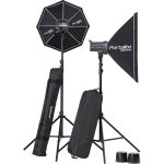 Elinchrom Elinchrom D-Lite RX 4 - Dual Monolight Kit