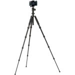 Rollei Rollei Compact Traveler nr. 1 zwart