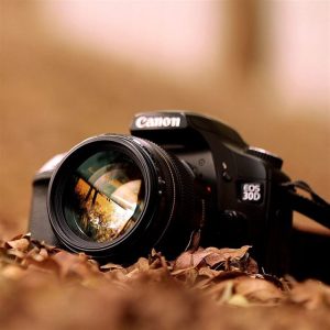 Foto de Vakman Foto De Vakman Cursus Themafotografie