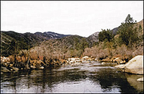 Cokin Cokin Filter Z153 Neutral Grey ND4 (0.6) - Image 2