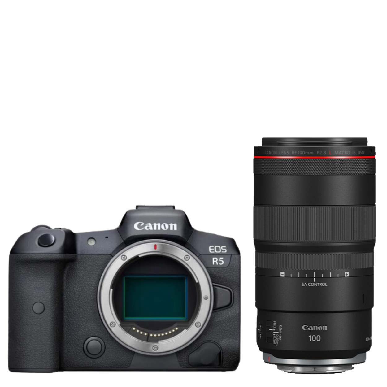 Canon Canon EOS R5 + RF 100mm f/2.8L Macro IS USM