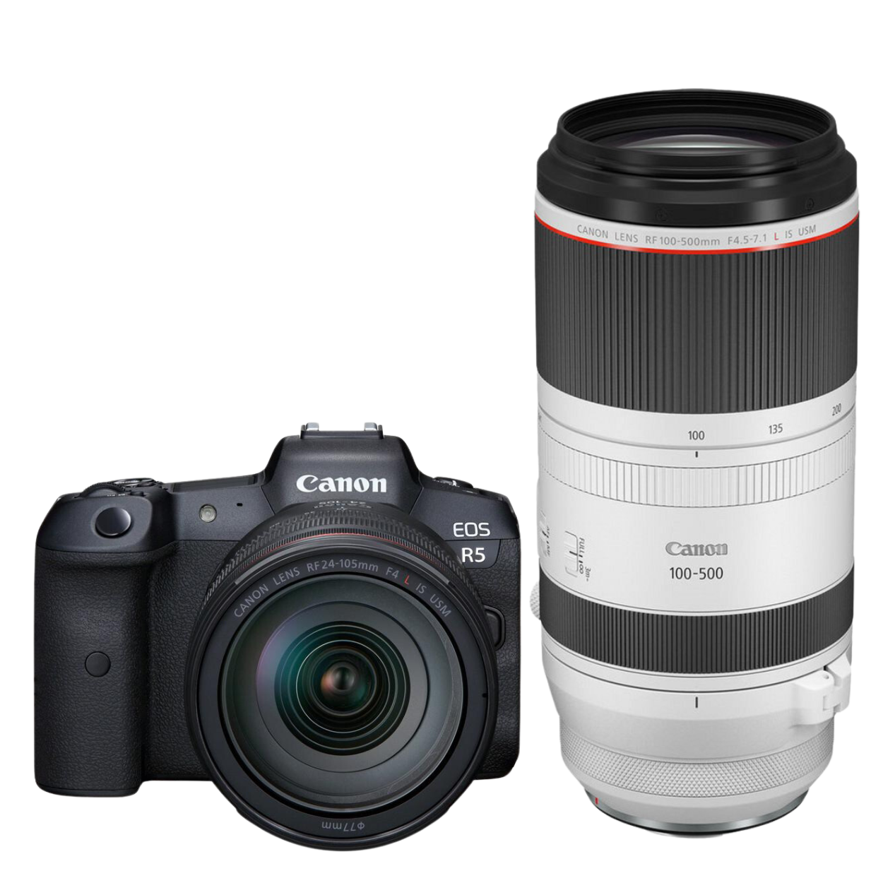 Canon Canon EOS R5 + RF 24-105mm f/4L IS USM + RF 100-500mm f/4.5-7.1L IS USM