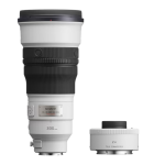 Sony Sony 300MM + 20 TC