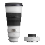 Sony Sony 300MM + 14 TC