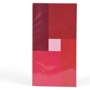 Henzo Henzo Nexus fotoetui voor 96 foto's