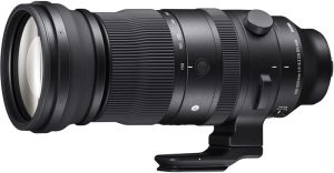 Sigma Sigma 150-600mm F5-6.3 DG DN OS L-mount