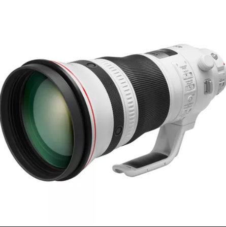 Canon Canon EF 400mm f/2.8L IS III USM - Image 2